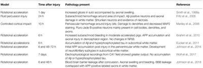 The Use of Pigs as a Translational Model for Studying Neurodegenerative Diseases